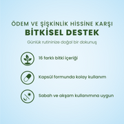 Detoksfit Şase Bitkisel Gıda Takviyesi 30'lu Paket - 16 Bitkili Doğal Formül
