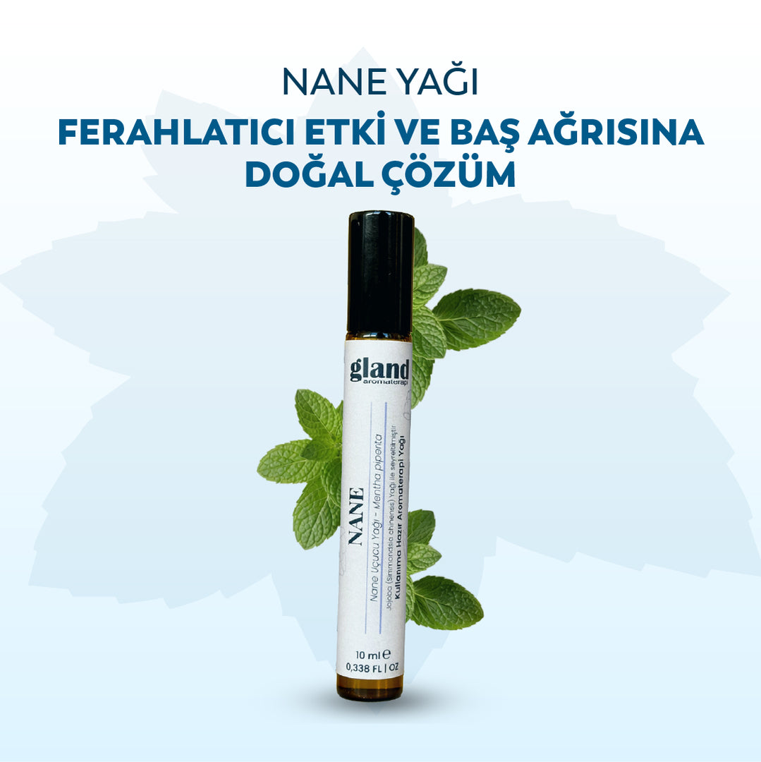 %100 Doğal Nane Yağlı Roll-On – Migren ve Baş Ağrısına Karşı Ferahlatıcı Destek